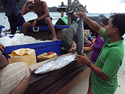 Fishing Mergui Archipelago