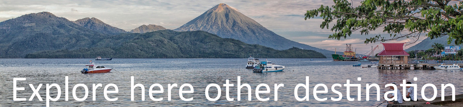 Find your liveaboard around Indonesia