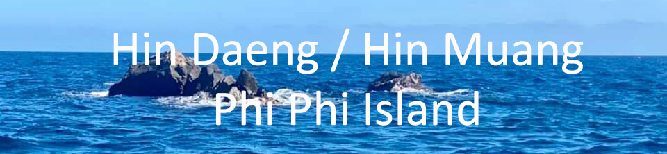 Scuba Diving around Hin Daeng, Hin Daeng and Phi Phi Island