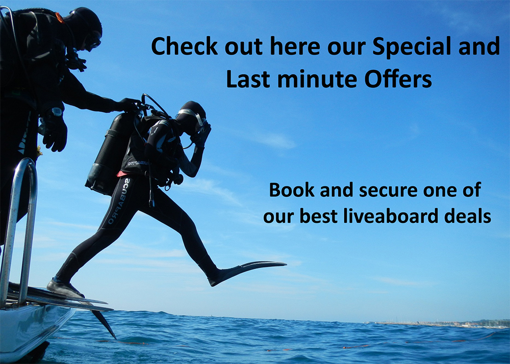 Last minute offers on our liveaboard 